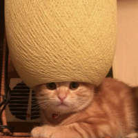 15_アイコン_湯川